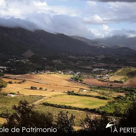Studio Terremer Patrimonio Buitenkant foto