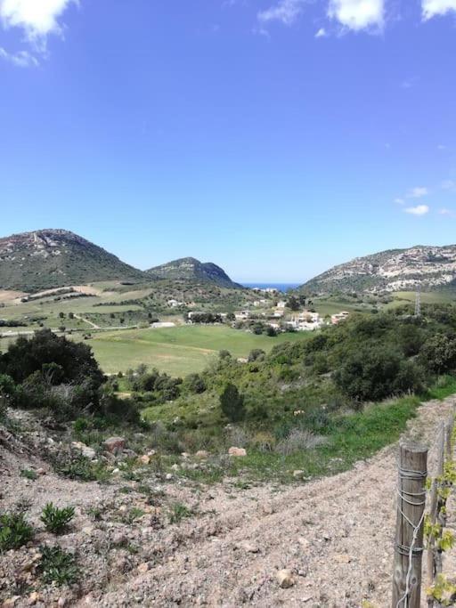Appartement Terremer Patrimonio
